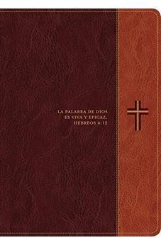 Biblia de estudio del diario vivir RVR60, letra grande (Letra Roja, SentiPiel, Café/Café claro)