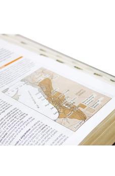 Biblia de Estudio Teológico Reina Valera 1960 Piel Fabricada Negro con Indice