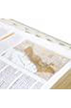 Biblia de Estudio Teológico Reina Valera 1960 Piel Fabricada Negro con Indice