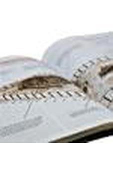 Biblia de Estudio Teológico Reina Valera 1960 Piel Fabricada Negro con Indice