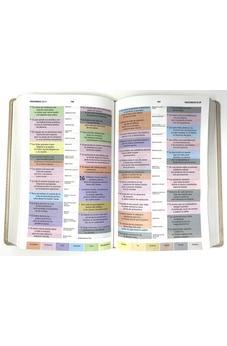 Biblia NTV De Estudio Arco Iris Caleidoscopio Sobre Kaki Simil Piel