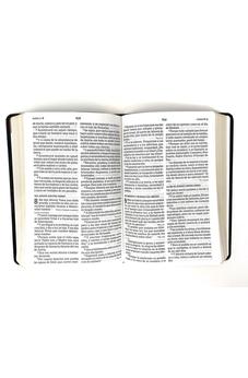 RVR 1960 Letra Grande Tamaño Manual  Rojizo, Imi Piel