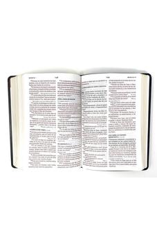 RVR 1960 Letra Grande Tamaño Manual  Rojizo, Imi Piel