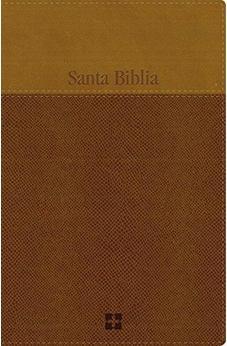 Santa Biblia NVI, Letra Grande, Leathersoft