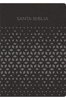 RVR 1960 Biblia Para Regalos Y Premios, Negro/Plata Simil Piel