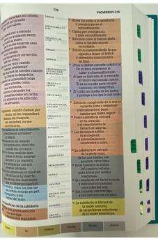 Image of NTV Biblia de Estudio Arco Iris, multicolor tapa dura con índice