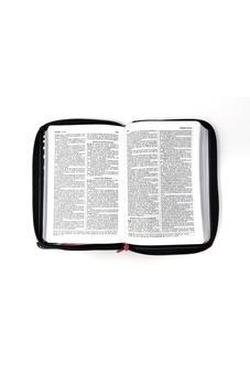 Image of RVR 1960 Biblia Compacta Con Cierre Fucsia/Cebra Con Cierre Simil Piel