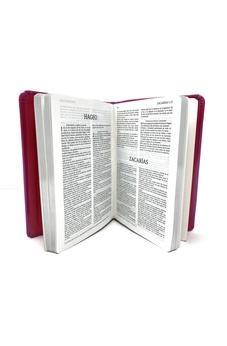 Image of RVR 1960 Colormax Bible (Hot Pink Dura Max Binding)