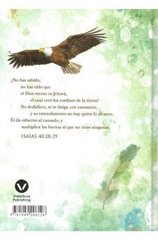 Image of Alas De Águilas - Isaías 40:31